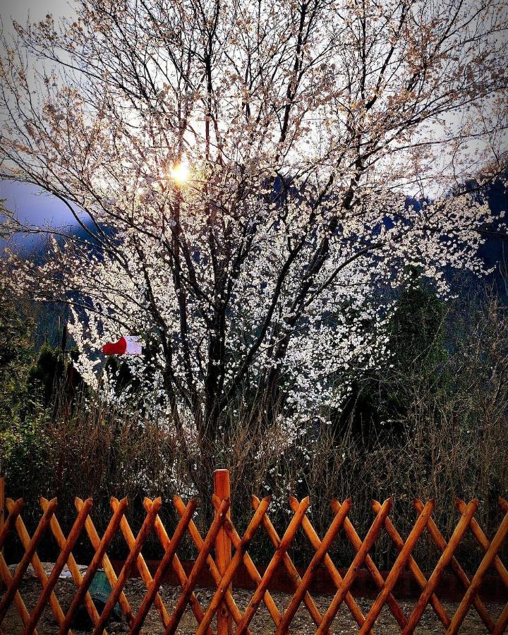 Moksha Slovenia Tolmin Exterior photo
